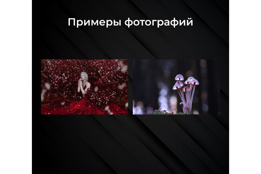 Объектив Canon EF 50mm f/1.4 USM (Japan, 2015)