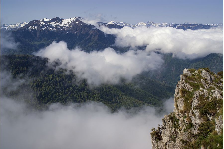 Объектив Pentax-M SMC 2.8/28mm (Japan, 1966)