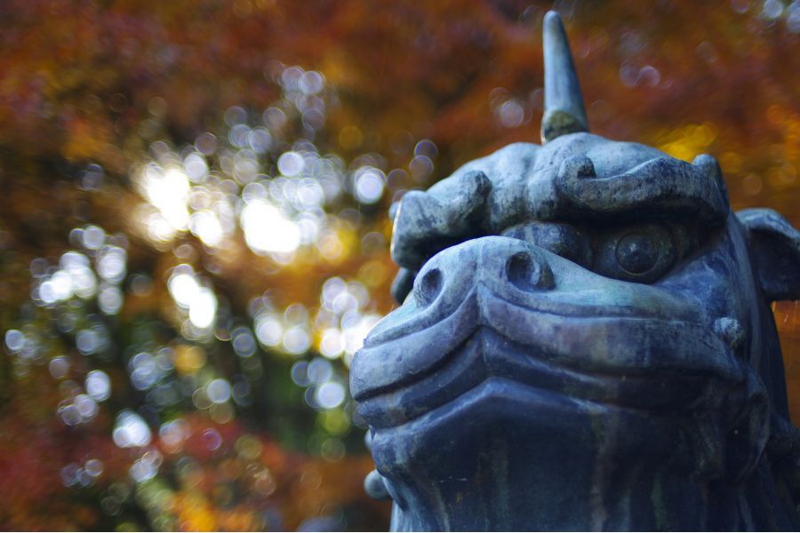 Объектив Pentax-M SMC 1.4/50mm (Japan, 1982)