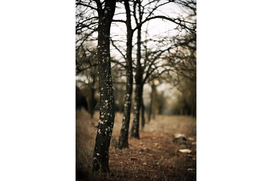 Ломо РО500-1 2/90мм (СССР, 1979г.)