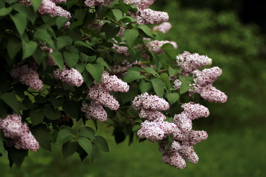 Ломо РО500-1 2/90мм (СССР, 1979г.)