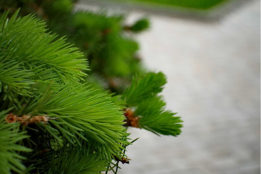 Советский объектив от 16мм кинокамеры Вега-7 2/20