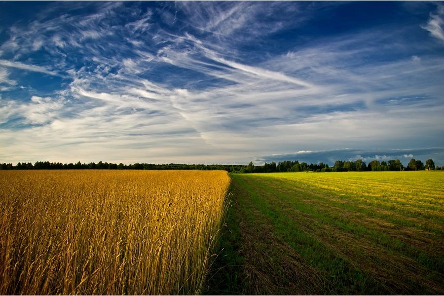 Объектив Pentax-DA SMC 18-55mm f/3.5-5.6 AL II