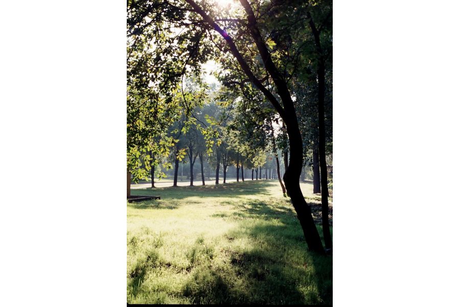 Объектив мануальный Pentacon Prakticar MC 1.8/50