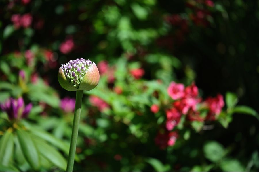 Дальномерный объектив Индустар-50 3,5/50 П тубусный