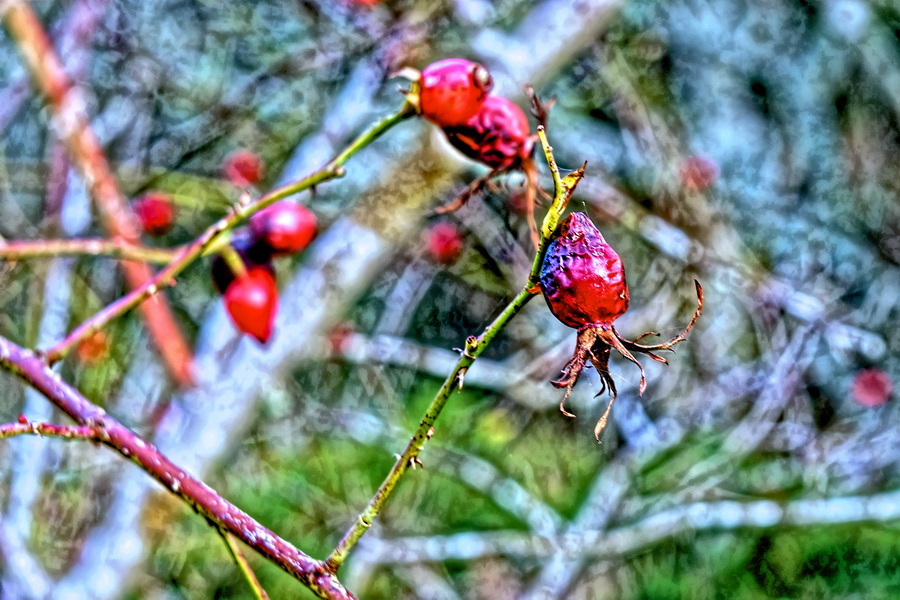 Дальномерный объектив Индустар-50 3,5/50 П тубусный