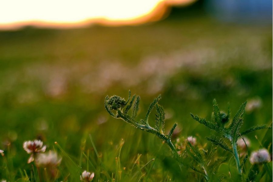 Штатный объектив Индустар-29 80mm f/2.8 (СССР)