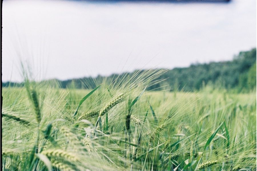 Штатный объектив Гелиос 44-2 2/58 М42 (СССР)