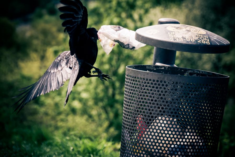 Sony 18-200mm f/3.5-6.3 E LE (SEL-18200LE)