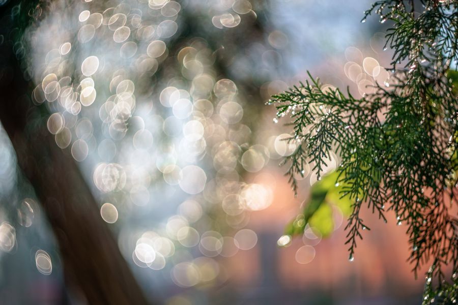 Редкость объектив МС Гелиос-77М-4 f1.8/50mm