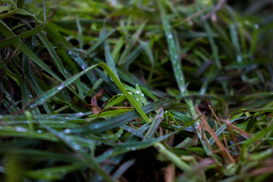 Объектив Индустар-61 2,8/52 М39 (ФЭД, 1969г.)