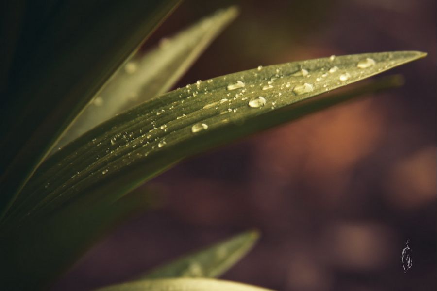 Объектив Canon EF 28-135mm f/3.5-5.6 IS USM