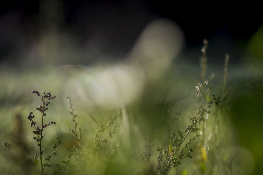 Редкий Юпитер-37А МС 3.5/135 (СССР, 1987)