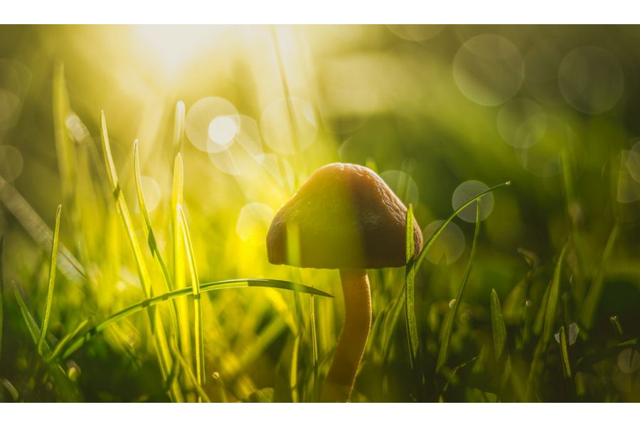 Редкий Юпитер-37А МС 3.5/135 (СССР, 1987)