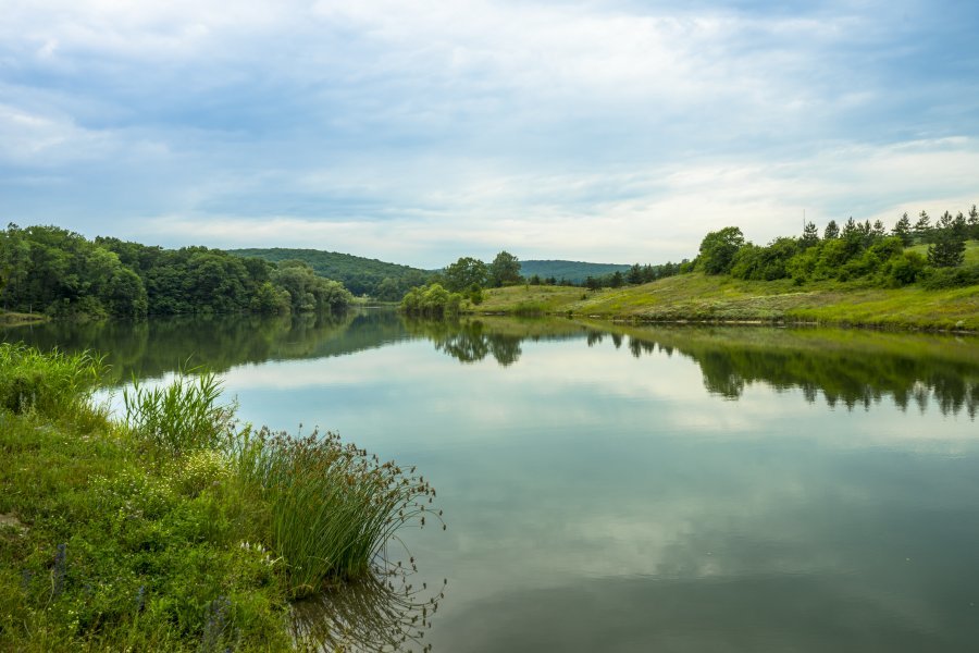 Объектив цифровой Sony FE 28-70mm f/3.5-5.6 OSS