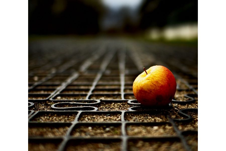 Новый Sigma AF 30mm f/1.4 DC DN Contemporary Sony E в упаковке