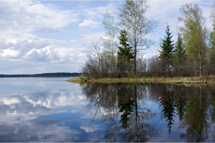 Объектив Pentax-DA 20-40mm f/2.8-4 Limited DC WR