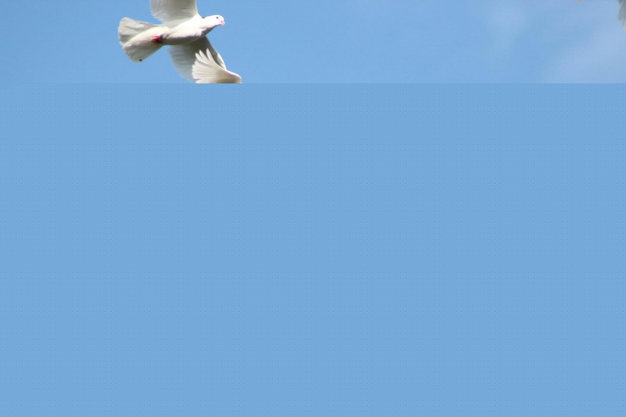 Объектив Canon EF 100-300mm f/4.5-5.6 USM