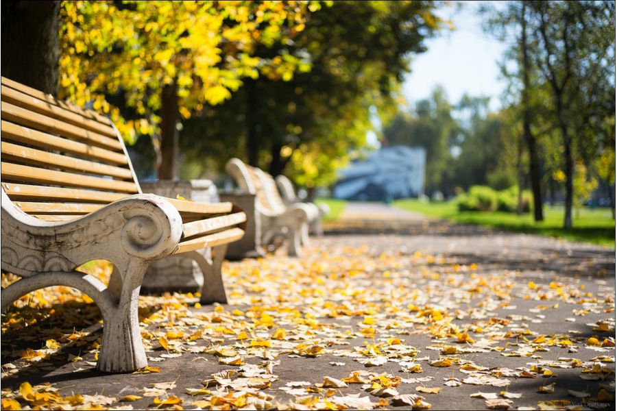 Объектив Leica Summicron-M 50mm f/2 (Germany)