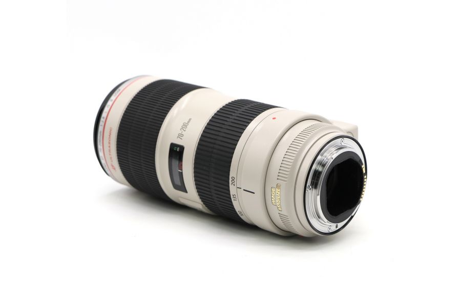 Canon EF 70-200mm f/2.8L IS II USM