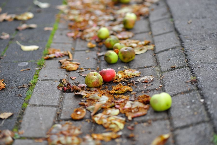 Объектив Nikon 85mm f/1.8G AF-S Nikkor (Nikon F)