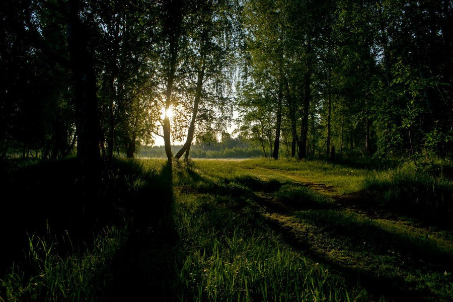 Объектив Nikon 18-55mm f/3.5-5.6G AF-S ED DX Nikkor