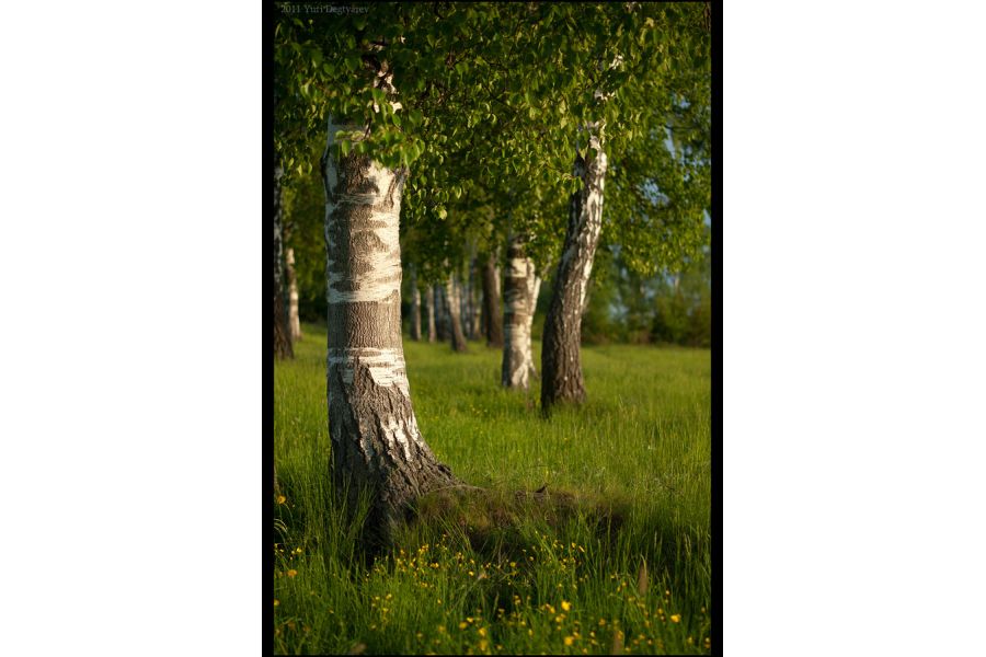 Объектив Sony DT 50mm f/1.8 SAM в упаковке