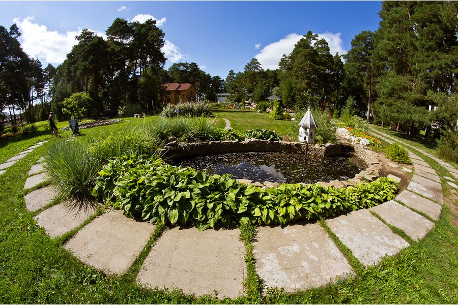 Samyang 8mm f/3.5 AS IF MC Fish-eye CS Canon EF-S 