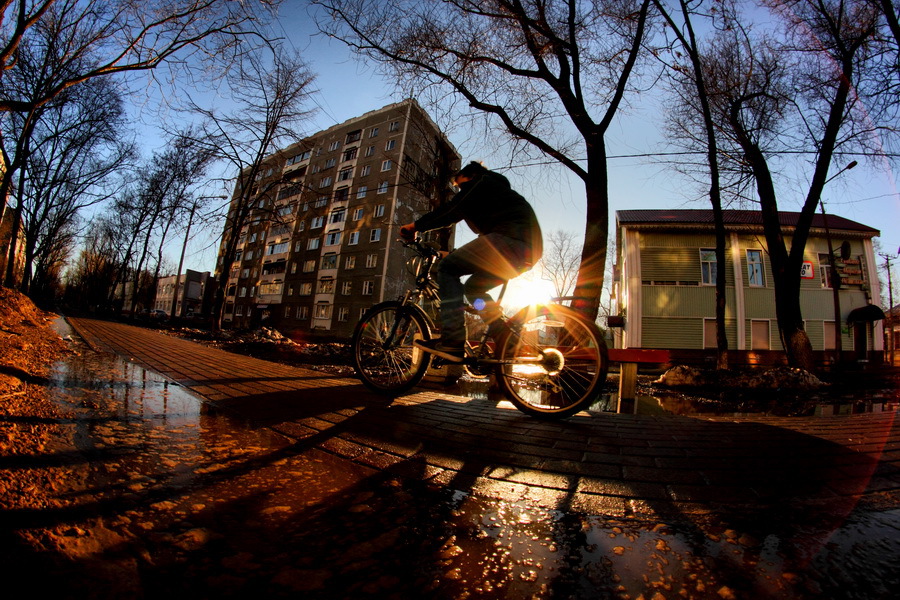 Samyang 8mm f/3.5 AS IF MC Fish-eye CS Canon EF-S 