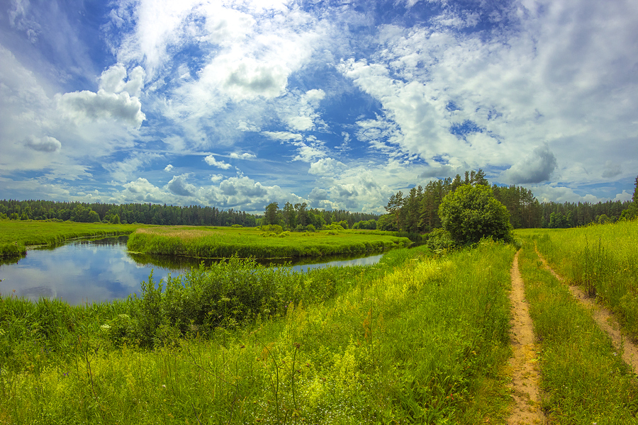 Samyang 8mm f/3.5 AS IF UMC Fish-eye CS II для Canon EF