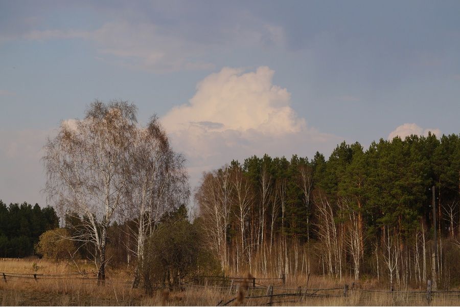 Объектив Sony 18-55mm SAM II SAL18552