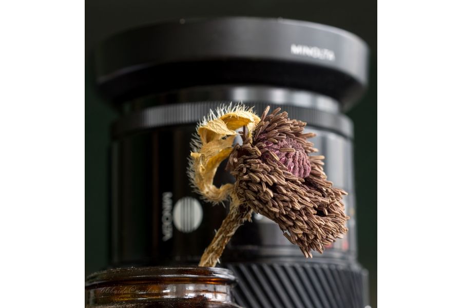 Объектив Sony 2.8/50mm Macro (Japan, 2010г.)