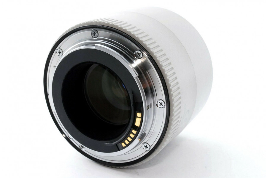 Телеконвертер для съемки Canon Extender EF 2x III