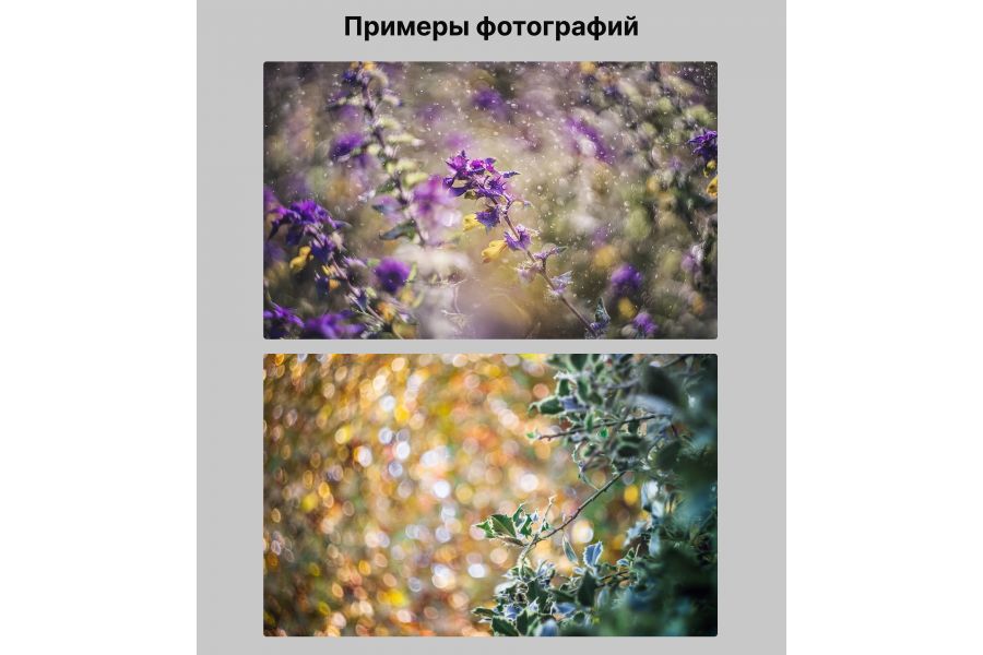 Советский фотоаппарат Зенит Е kit Гелиос-44-2 (СССР)