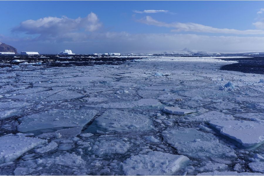 Широкоугольный объектив Sony 2.8/20mm SEL20F28