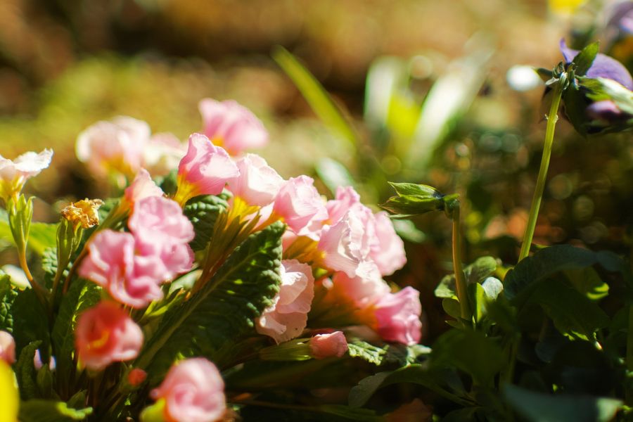 Объектив Юпитер-9 П 2/85 М39 silver дальномер КМЗ