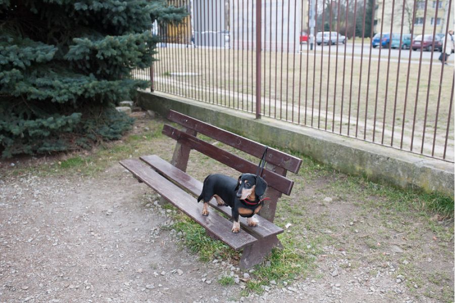 Nikon 35mm f/1.8G AF-S ED Nikkor новый в упаковке