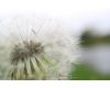 Объектив Canon EF-M 28mm f/3.5 Macro IS STM