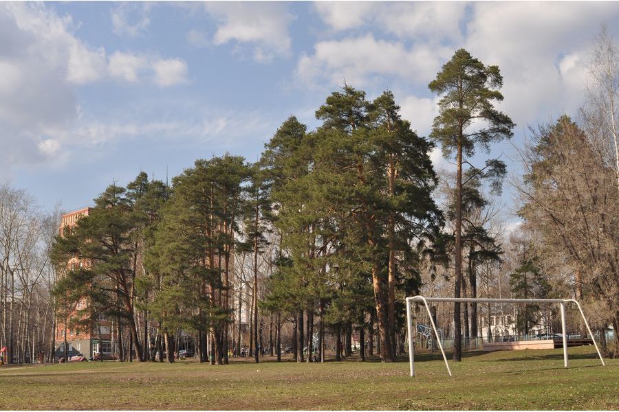 Объектив Nikon Series E ZOOM 36-72 mm f/ 3.5