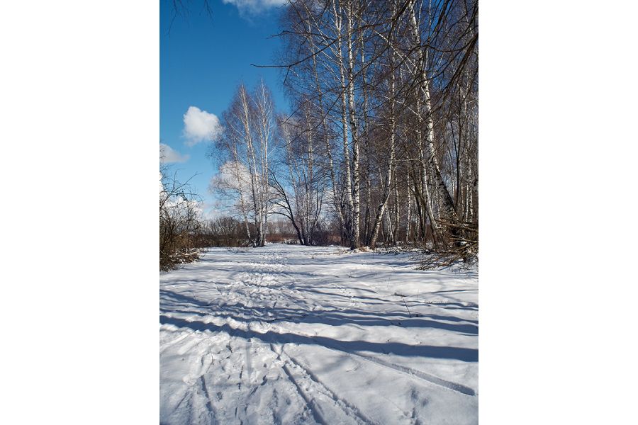 Объектив Olympus OM-System H.Zuiko Auto-W 24mm f/2.8