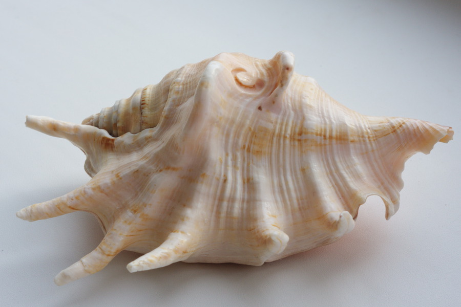 Супер макро объектив Индустар-61Л/З 2,8/50 М39