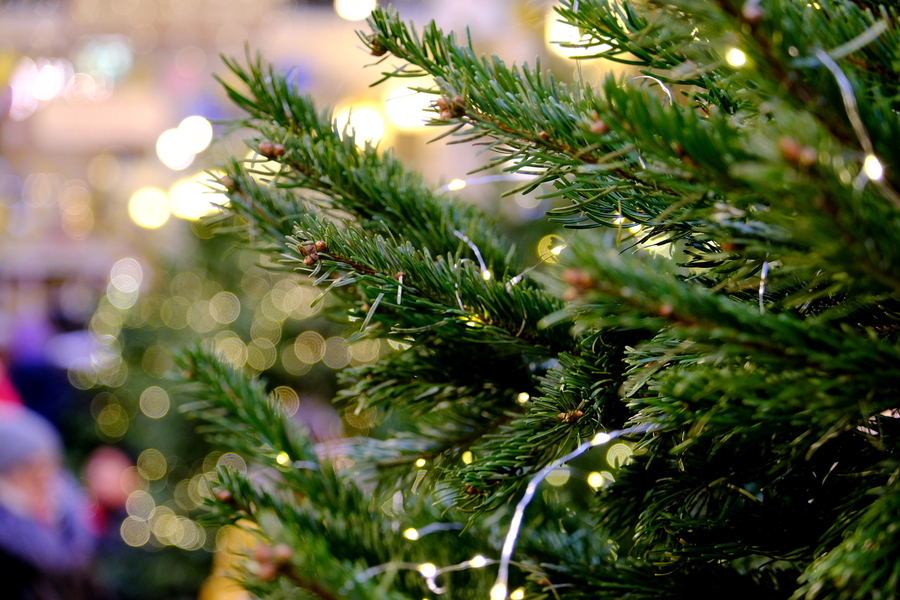 Fujifilm XF 16-80mm f/4 R OIS WR