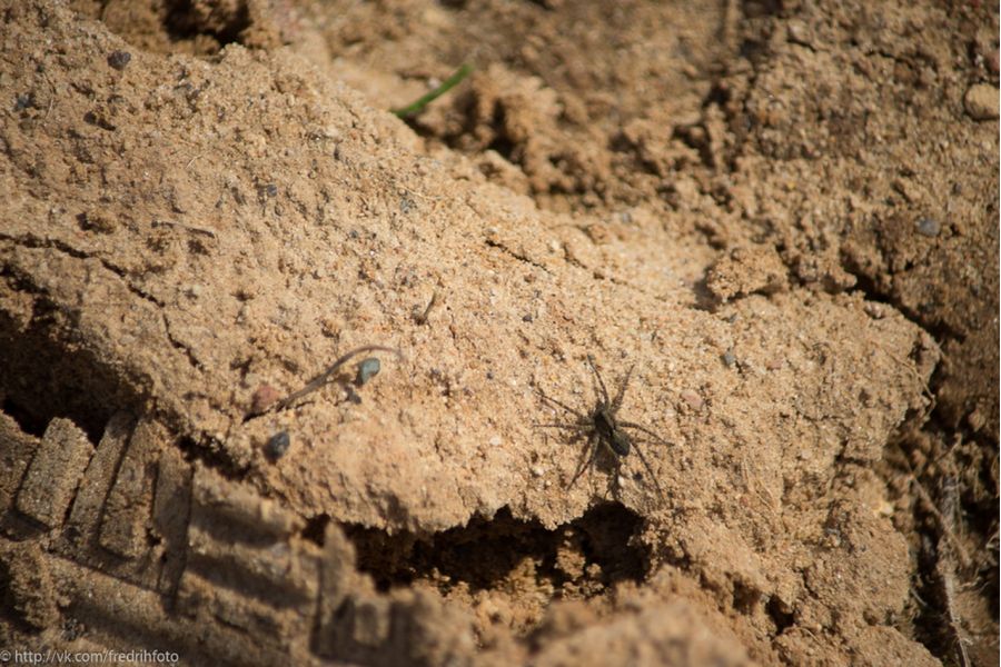 Minolta Af Zoom 70-210mm f/4.5-5.6 Sony A