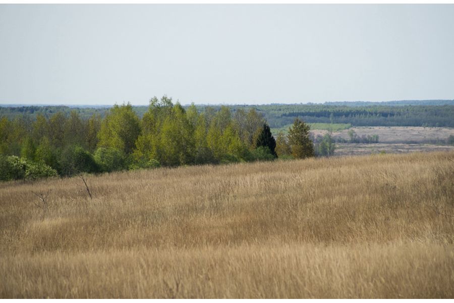 Minolta Af Zoom 70-210mm f/4.5-5.6 Sony A