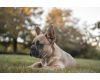 Sony 35mm f/1.4G (SAL35F14G)