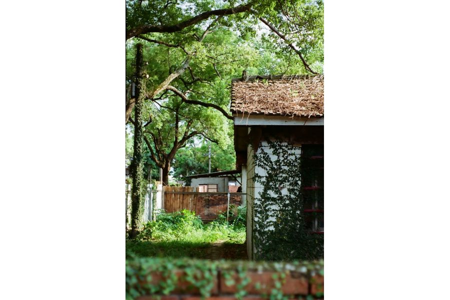 Объектив мануальный Domiplan 2.8/50 automatic lens