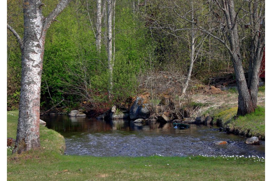 Объектив Canon EF-S 55-250mm f/4-5.6 IS II