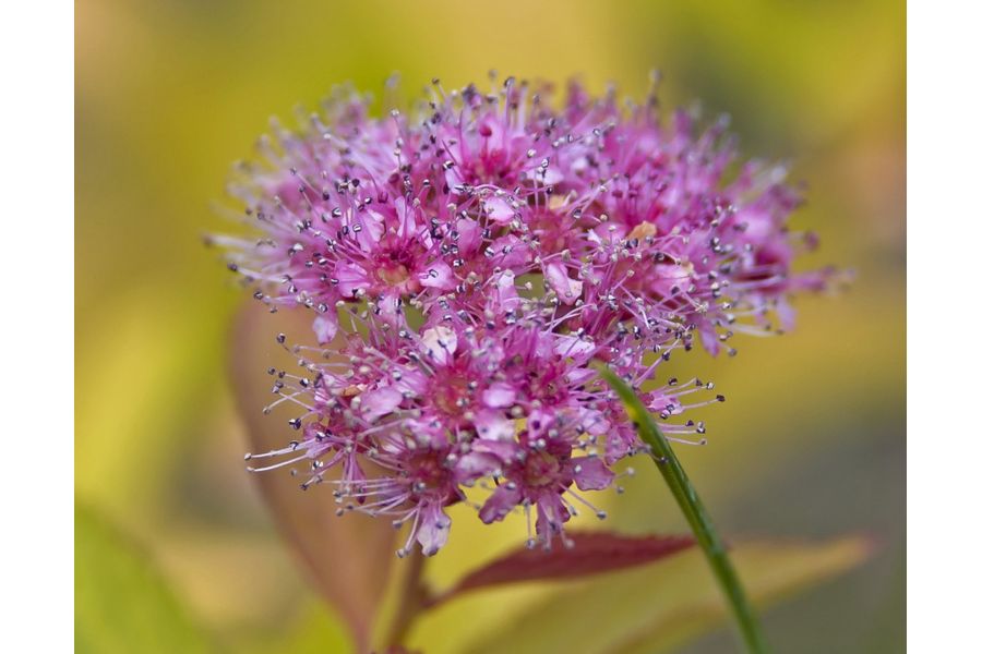 Объектив Nikon 28-105mm 3.5-4.5D AF Nikkor