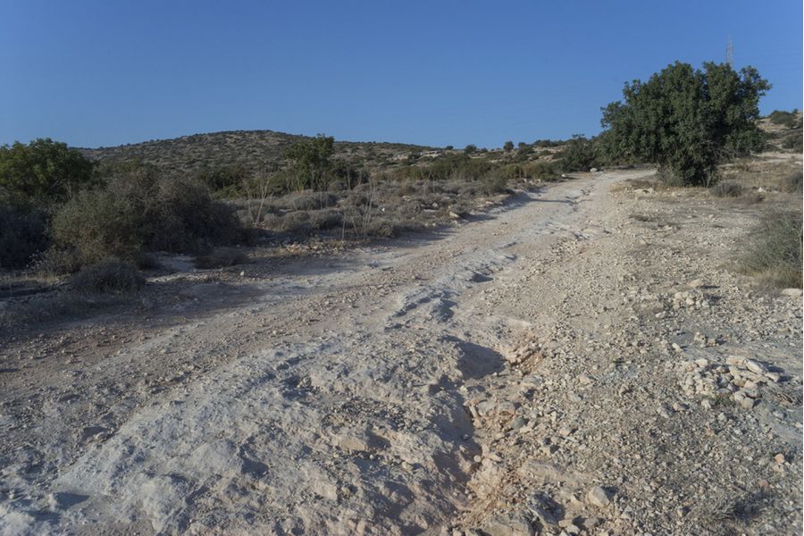 Широкоугольный объектив Tokina RMC 2.8/28