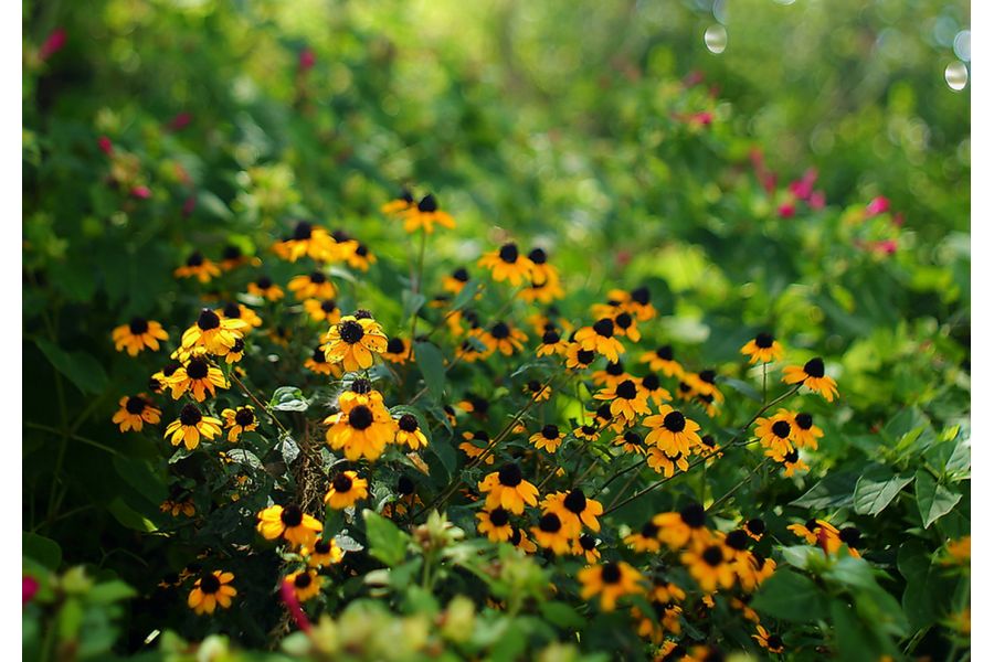 Мир-26В 3,5/45 (СССР, 1984)